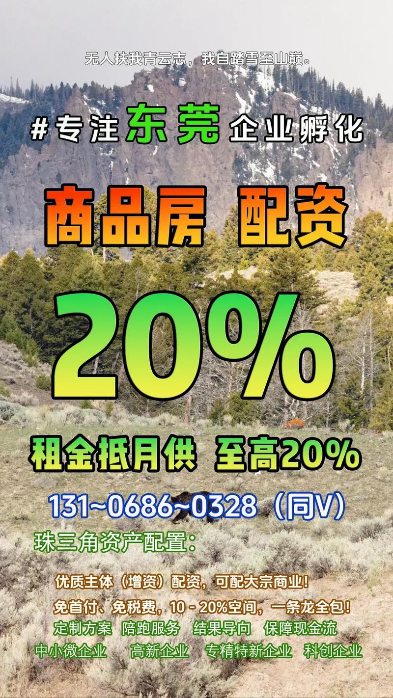 东莞企业孵化,贸易增量,资产配置怎么操作 主营电子产品,医疗